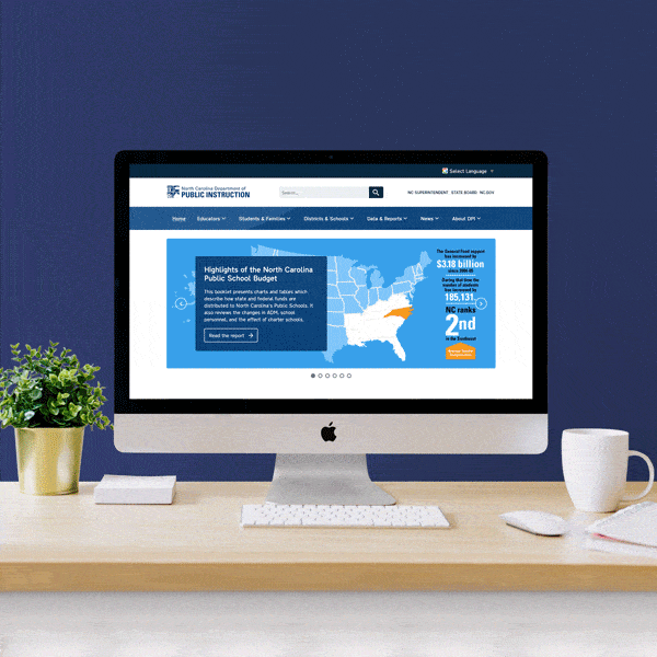 image of the DPI website